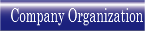 Company Organization